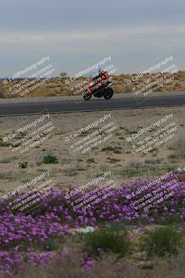 media/Jan-14-2023-SoCal Trackdays (Sat) [[497694156f]]/Turn 14 Exit Bloomig (145pm)/